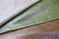 255287 Кожа Крокодил